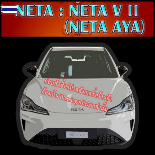 ผ้ายางปูพื้นรถยนต์ NETA รุ่น NETA V2