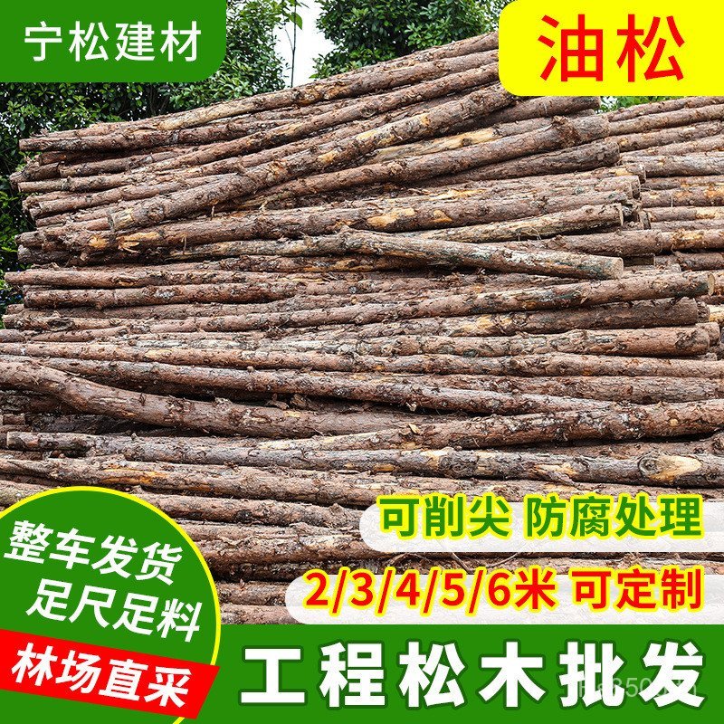 Mulin Field Anti-ตรงผม Stake น้ํามันสนข้าวนิเวศวิทยา Log 3 Foundation Fallen Leaf Pine Piling 4 Rive