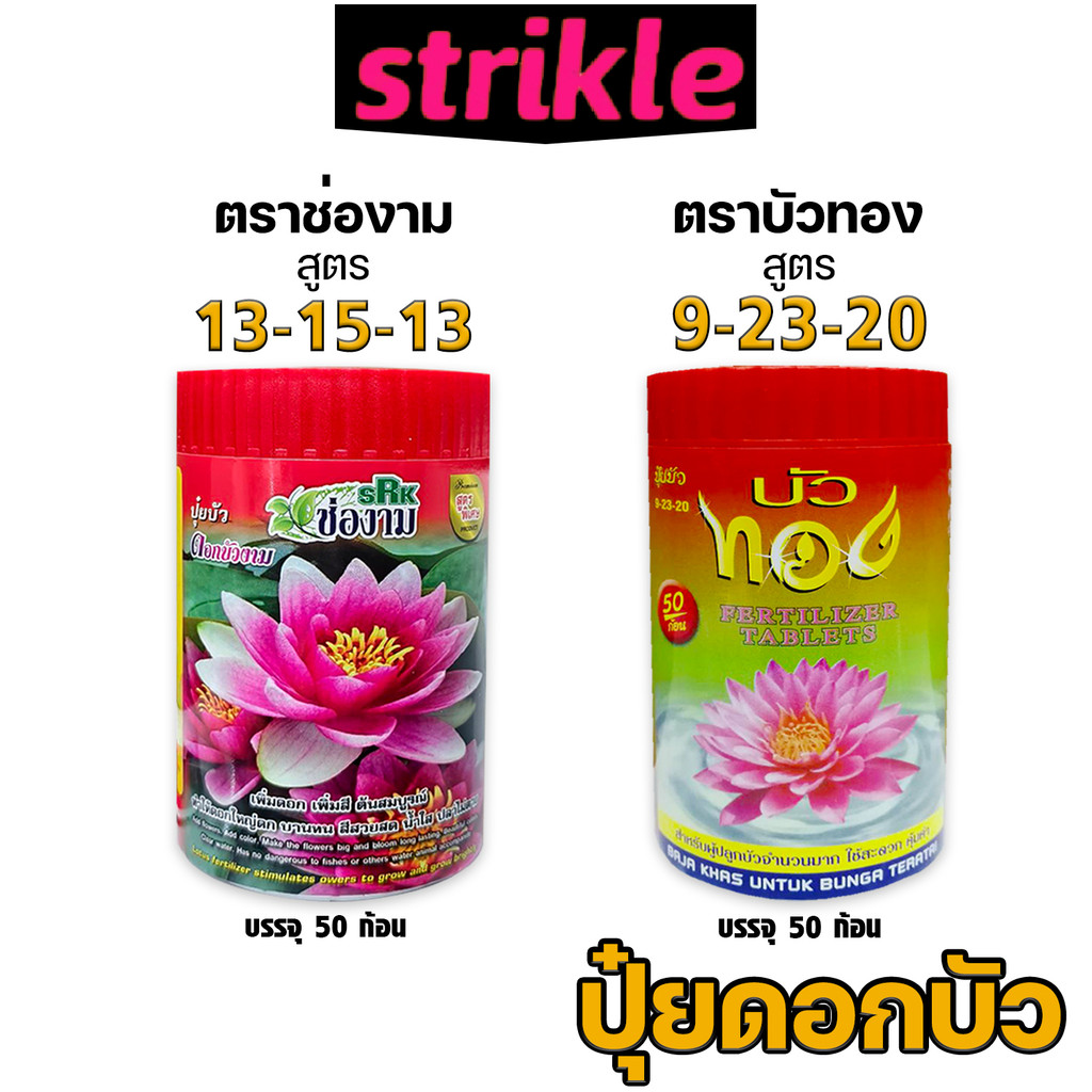 ปุ๋ยเร่งดอกบัว บัวทอง / ช่องาม เพิ่มดอกใหญ่ สีสด ใบเขียวเข้ม บำรุงต้นดี แตกหน่อเร็ว เหมาะกับบัวหลวง บัวสาย และบัวทุกชนิด
