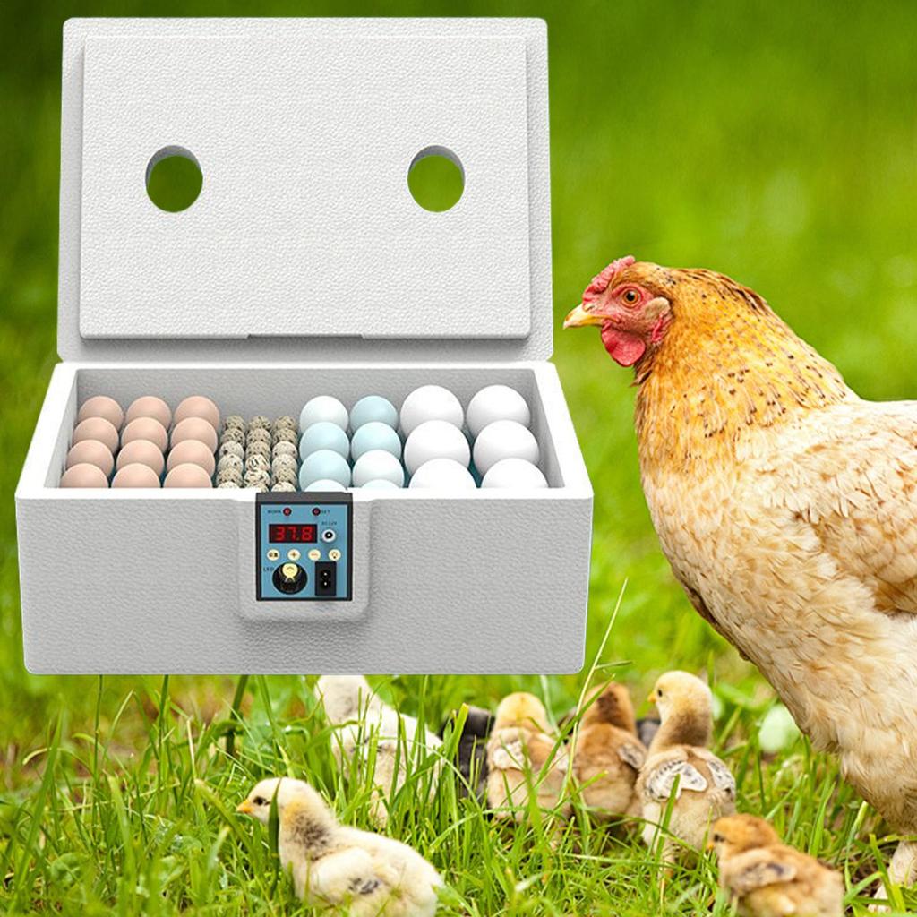 10-22 ไข่ Incubator คู่มือเปลี่ยน Coop Hatcher อุณหภูมิควบคุมฟาร์ม Hatchery เครื่องไก่เป็ดนกกระทา Bird Brooder ไข่