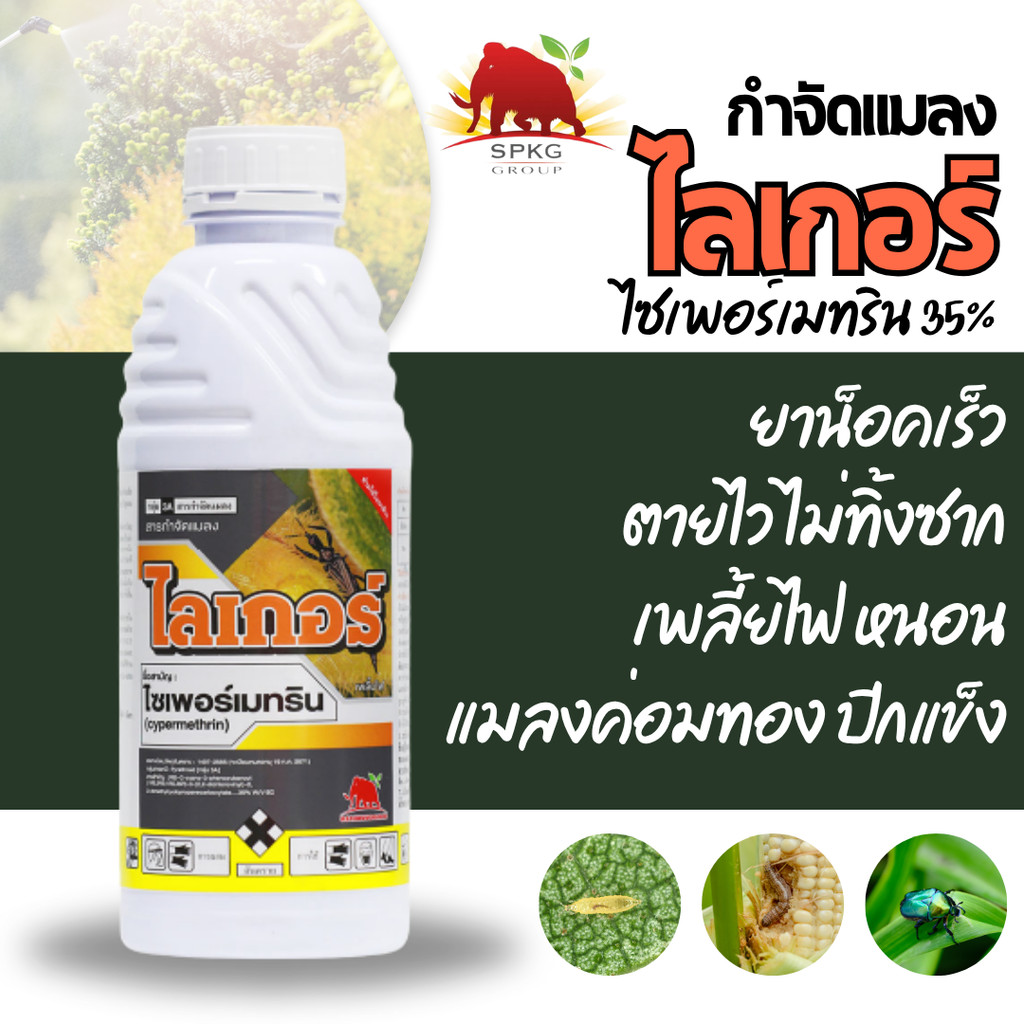 [1ลิตร][แมมมอธ][สูตรเย็น] ไซเพอร์เมทริน 35 ไซเปอร์ ไซเปอร์เมทริน (ไซเพอร์เมทริน 35%) ขนาด 1 ลิตร ไซเ