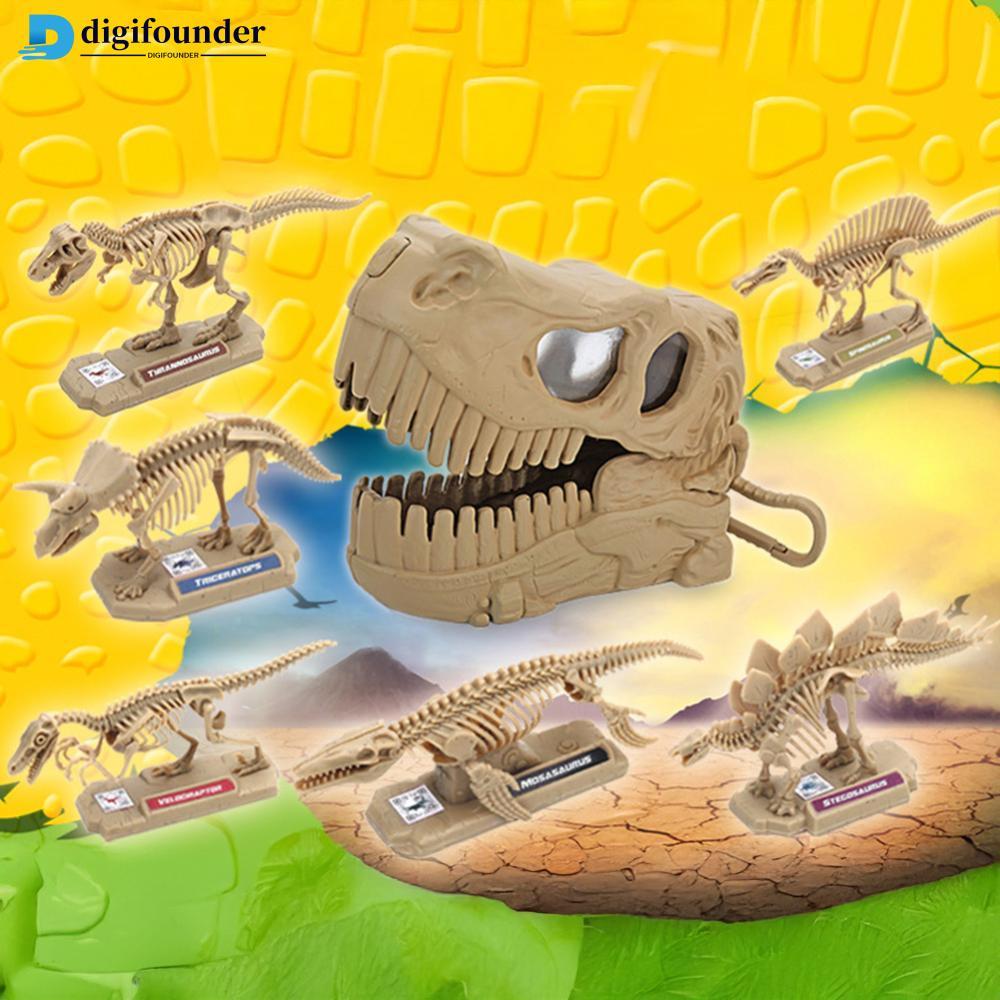 DIGIFOUNDER ไดโนเสาร์โครงกระดูก DIY Assembly Discovery Build Your Own Dino Assembly Creative การศึกษ