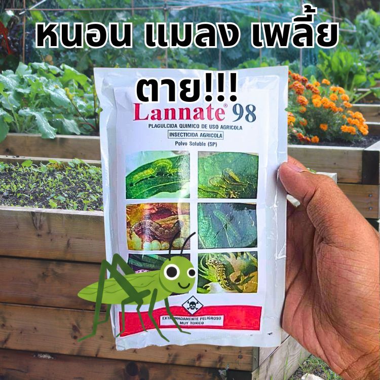 *ส่งฟรี* แลนเนท 98% ของแท้ เมโทมิล กำจัด แมลง หนอน เพลี้ย ผงสีขาว ไม่มีสี 100 กรัม ซอง