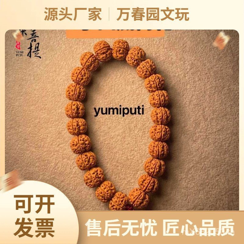 ดอกพลัมจัดส่งฟรีฟักทองวงกลมเดียวแหล่งที่มาเว้าด้านล่างโพธิ์แบนอินโดนีเซียวิจิตรคิงคองมือโพธิ์เมล็ดกร