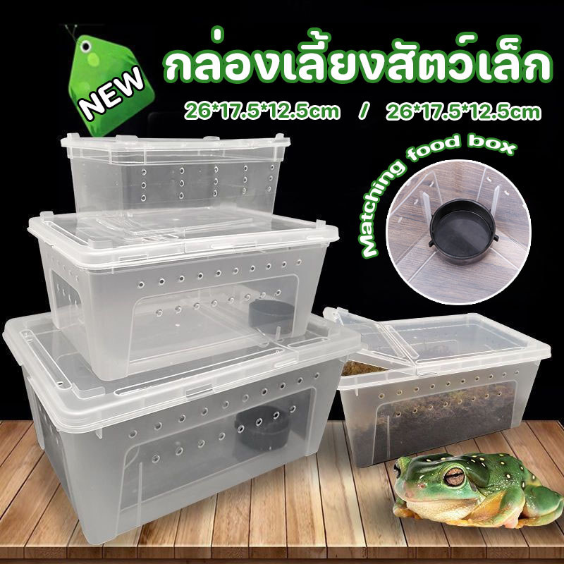 กล่องเลี้ยงสัตว์เล็ก สัตว์เลื้อยคลาน M/L สัตว์เล็ก กล่องเลี้ยงสัตว์ งู กบ แมลง ปลา สัตว์เลื้อยคลาน  Reptile Box