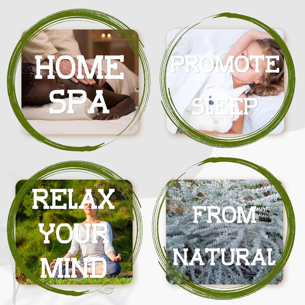 5 Kinds Eucalyptus & Lavender Stems - 17" Natural Fresh Hanging Real Leaves Shower & Home Decor Arom