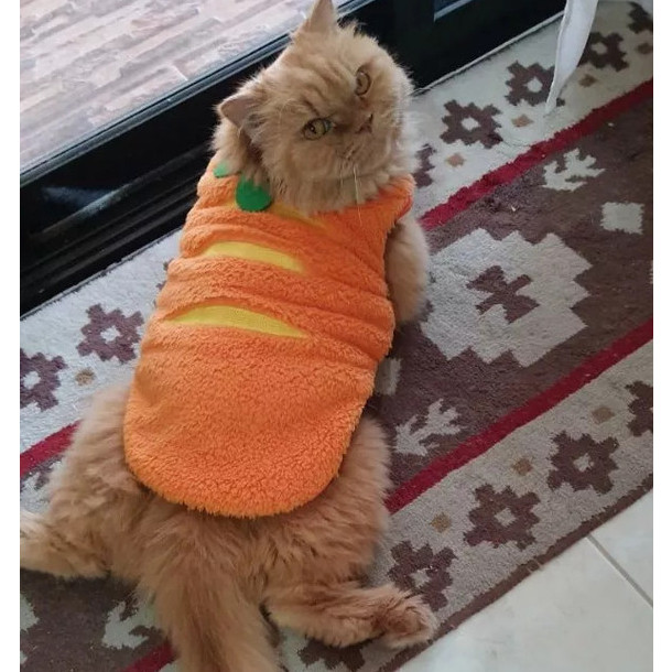 รูปภาพ 5