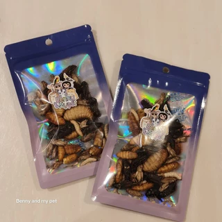 แมลงฟรีซดรายรวม สำหรับ ชูการ์ กระรอก เม่นแคระ บุชเบบี้ เมียแคท