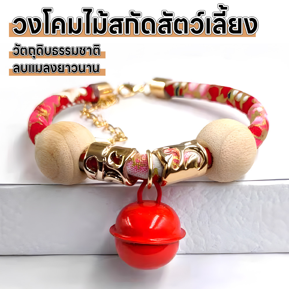 ปลอดคอแมว ปอกคอลูกแมว สายคอแมว collar แมว คลอล่าแมว