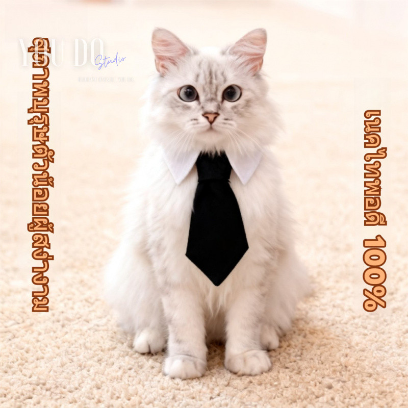 🐕😺 ฮัสกี้ เนคไท ปลอกคอ ปรับได้ สำหรับ สุนัข แมว petcho YOUDO