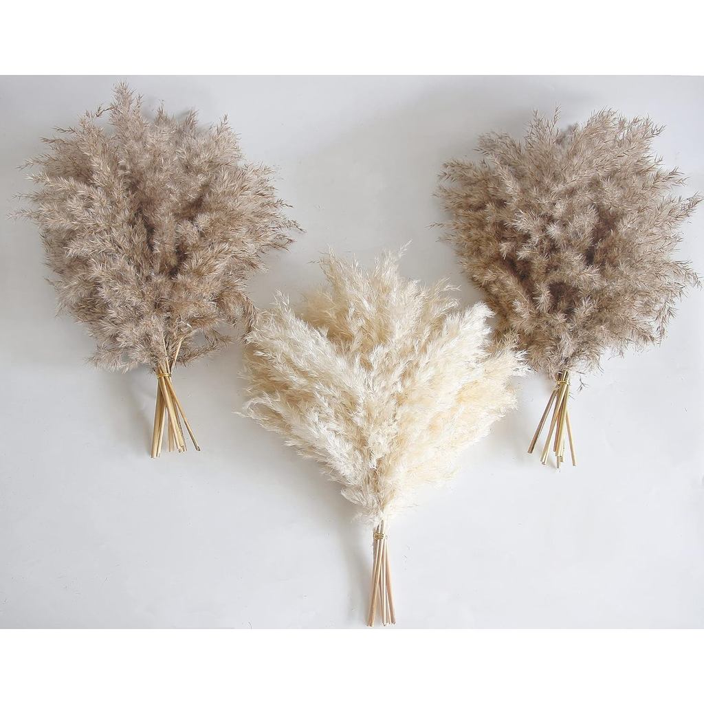 30 ชิ้น Boho Decor, Fluffy Pompas Grass, Natural Dry Pampas Grass ขนาดเล็ก, Short Pampas Bulk สําหรั