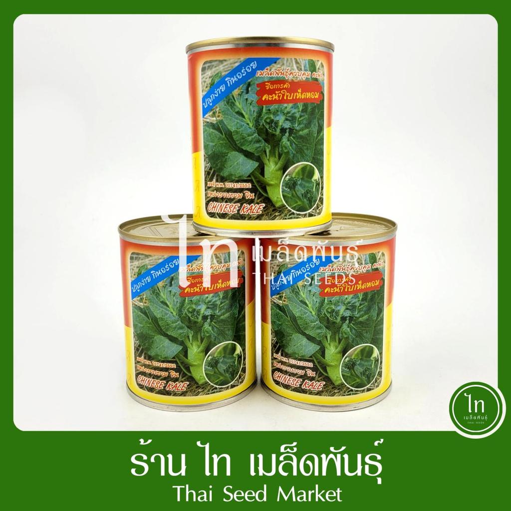 คะน้าใบเห็ดหอม สามเอ คะน้าเห็ดหอม เมล็ดคะน้าเห็ดหอม ตรา สามเอ เมล็ดคะน้าใบเห็ดหอม บรรจุ 50 กรัม