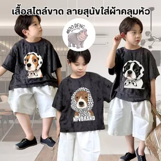 MooDeng Baby เสื้อสวมหัว ลายสุนัขใส่ผ้าคลุมหัว ดีไซน์ขาดมีรู ลายการ์ตูน สำหรับเด็กชาย ผ้าโพลีเอสเตอร์ แขนสั้น ลายคมชัด
