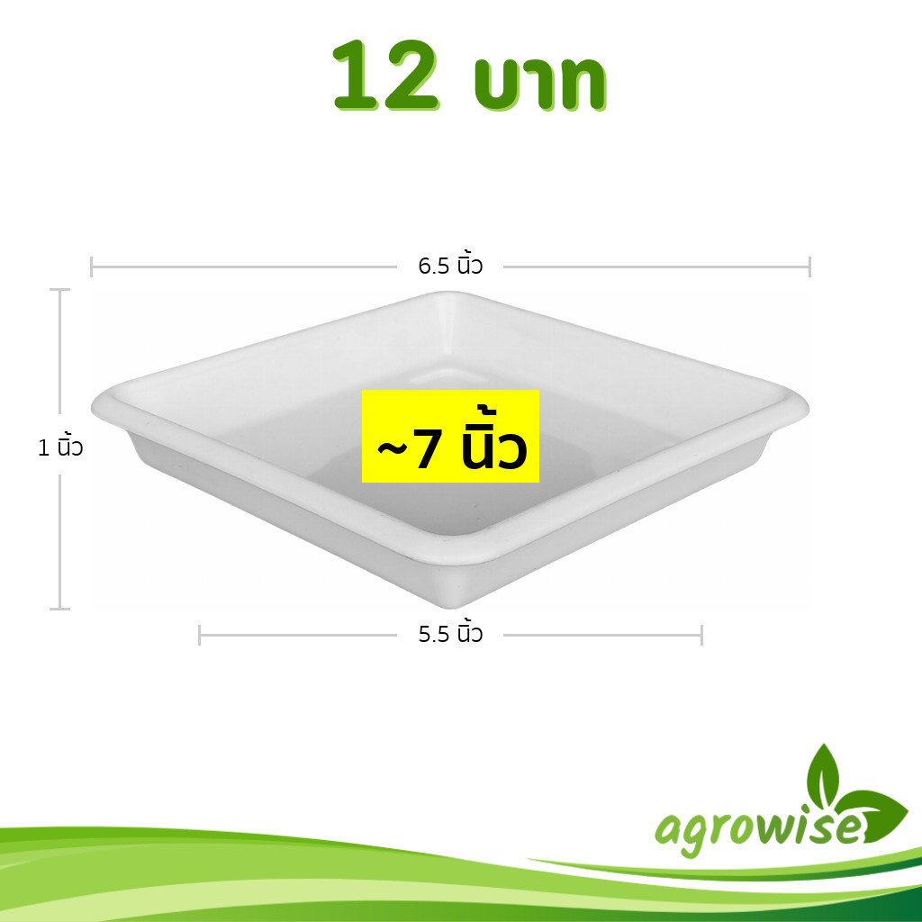 กระถาง จานรองกระถางโรมันสี่เหลี่ยม ขนาด 6.5 นิ้ว สีดำ สีขาว สีเทา ฟ้า เขียว