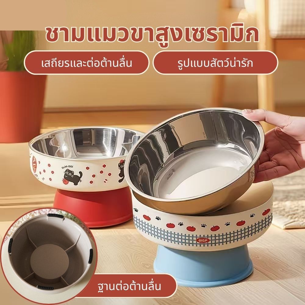 ชามอาหารแมว ชามสแตนเลส แบบยกสูง มีขอบยางกันลื่น ทําความสะอาดง่าย Cat Bowl