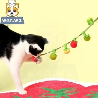 wen.W2 ของขวัญคริสต์มาสแมว! มะเขือเทศแมงกานิส กระดิ่งดังก้อง 3สี ทนทานสุดๆ แปะผนังได้ ของเล่นฮิต
