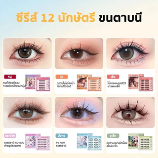 1 แถม 1🔥ซีรีส์ 12 นักษัตร ขนตาปลอม 3D ไม่ต้องใช้กาว มีกาวในตัว ขยายตา ติดทน ใช้ซ้ำได้ เหมาะสำหรับมือใหม่ 30/36 ช่อ/กล่อง