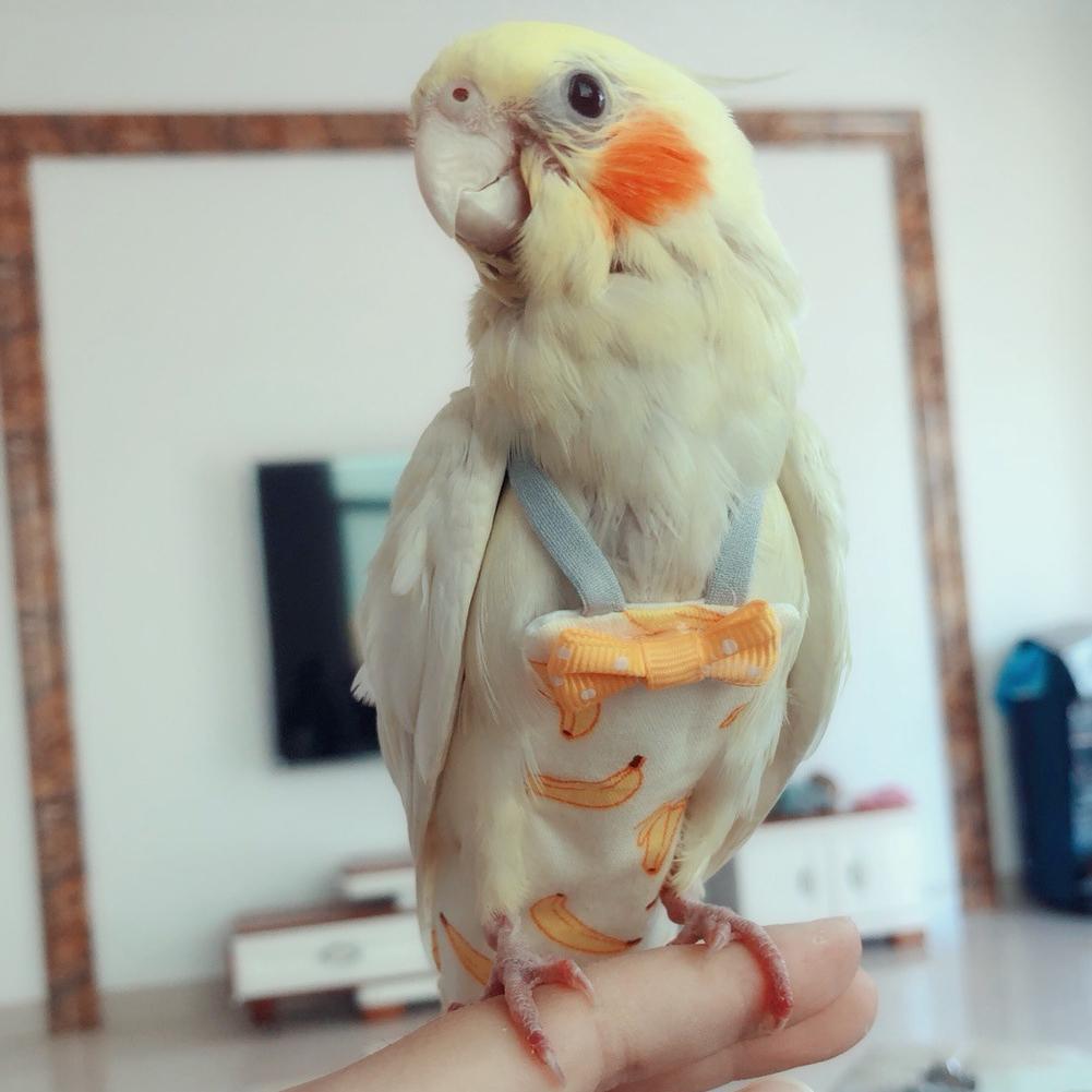 เทปปัสสาวะนกแก้วแบบใช้ซ้ําได้ Mynah Bird Can Fly ชุดผ้าอ้อมเชือก T0d7