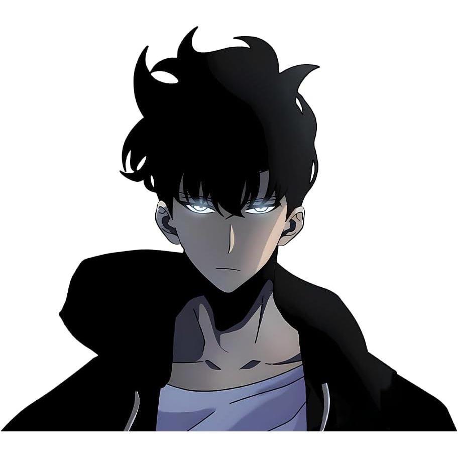 Solo Leveling Anime Manga Sung Jin-Woo Decal สติกเกอร์สําหรับรถยนต์แล็ปท็อปสเก็ตบอร์ด Wall Decor UV 