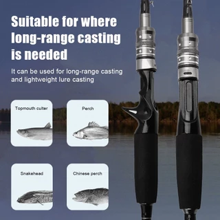 CODคันเบ็ดตกปลา 1.6M / 1.8M ร็อดตกปลา Spinning Rod ราคาขายส่ง Bass Rod แท่งตกปลาสำหรับผู้เริ่มต้น เบ็ดตกปลา + ของขวัญฟรี