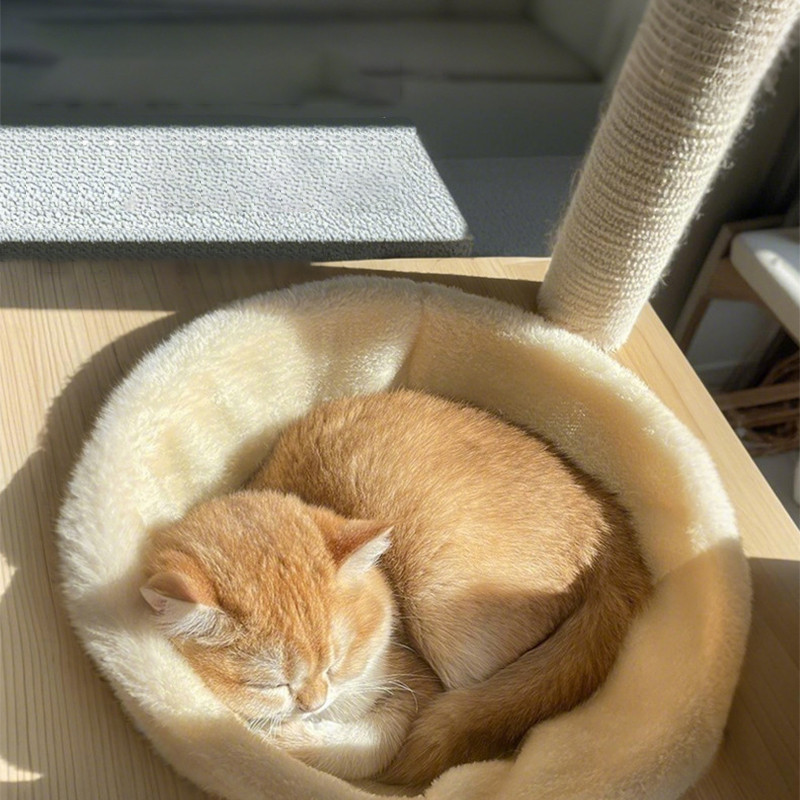 Doge&Orange เบาะผ้ารองนอน ผ้ารองหลุมแมว เบาะรองหลุมที่นอนอะคริลิค ขนาด 30 ซม. เนื้อผ้านุ่ม นอนสบาย COD PU227 - รูปที่ 7