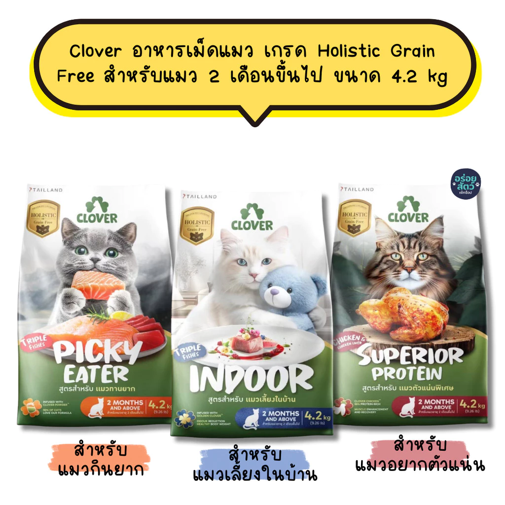 Clover อาหารเม็ดแมว เกรด Holistic Grain Free สำหรับแมว 2 เดือนขึ้นไป ขนาด 4.2 kg