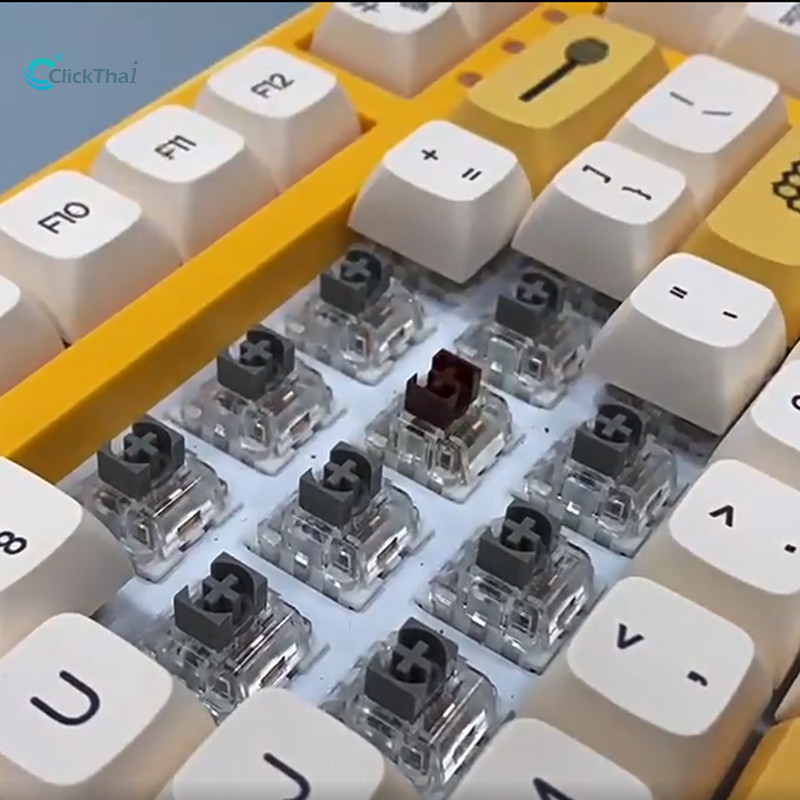 รูปภาพ 4