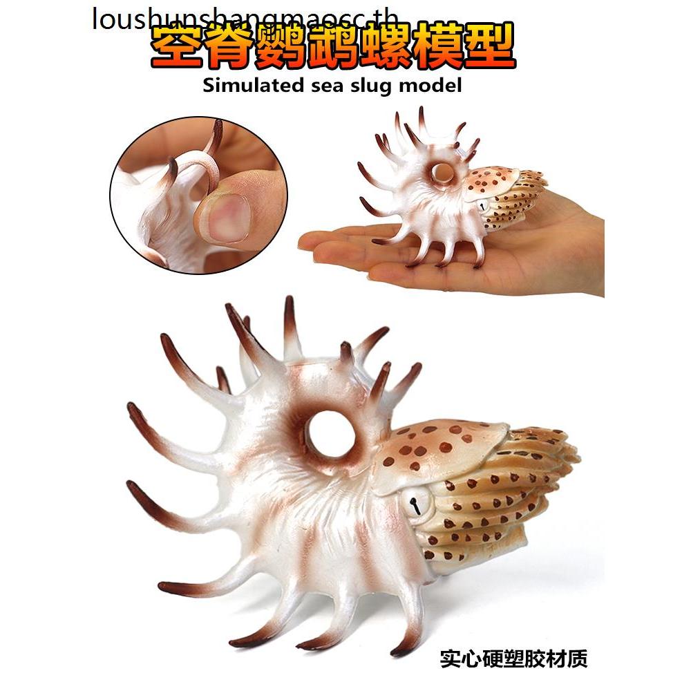 จําลองมหาสมุทรโบราณยุคก่อนประวัติศาสตร์ชีวภาพกระดูกสันหลังนกแก้วหอยทากไซโตไมท์ Ammoniteรุ่นของเล่นพล