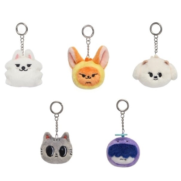 现货 TOMORROW X TOGETHER TXT  PPULBATU ลักษณะ FACE FACE TXT