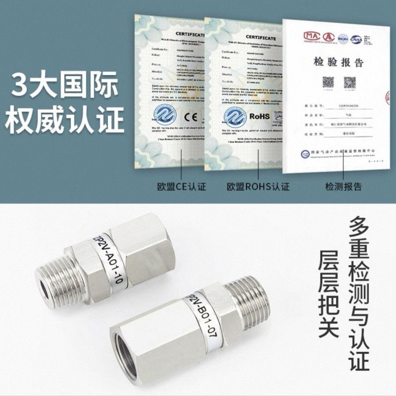 วาล์วลอจิกสูญญากาศวาล์วตรวจสอบความปลอดภัย ZP2V-A5B5B6AB01-W4W6W8-03/05/0