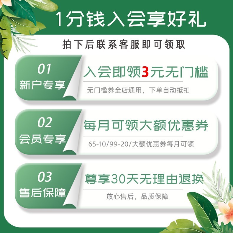 1 cent Into the Party เพลิดเพลินกับของขวัญ