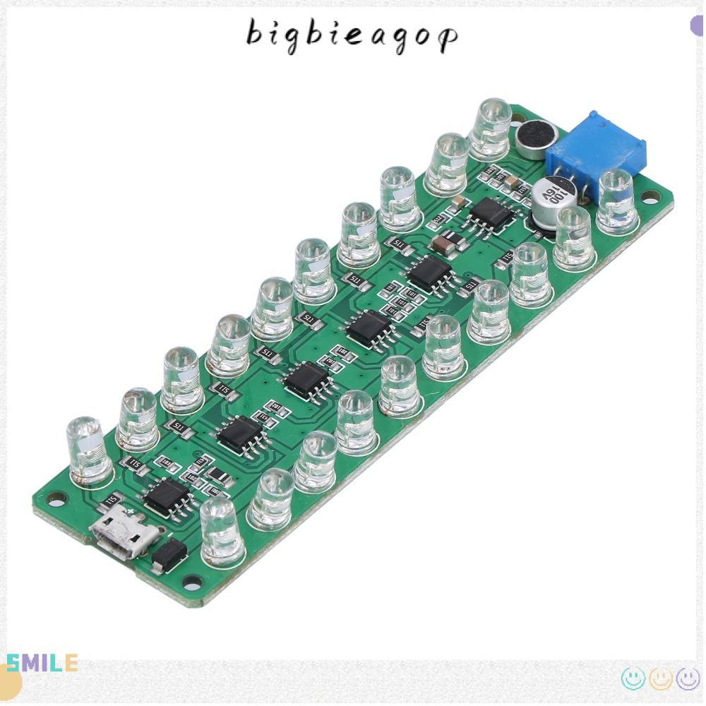 BIGBAEEP LED VU Meter, Melody Light Reverse Connection Protection VU Meter, LED ระบุจอแสดงผล LED ควบ