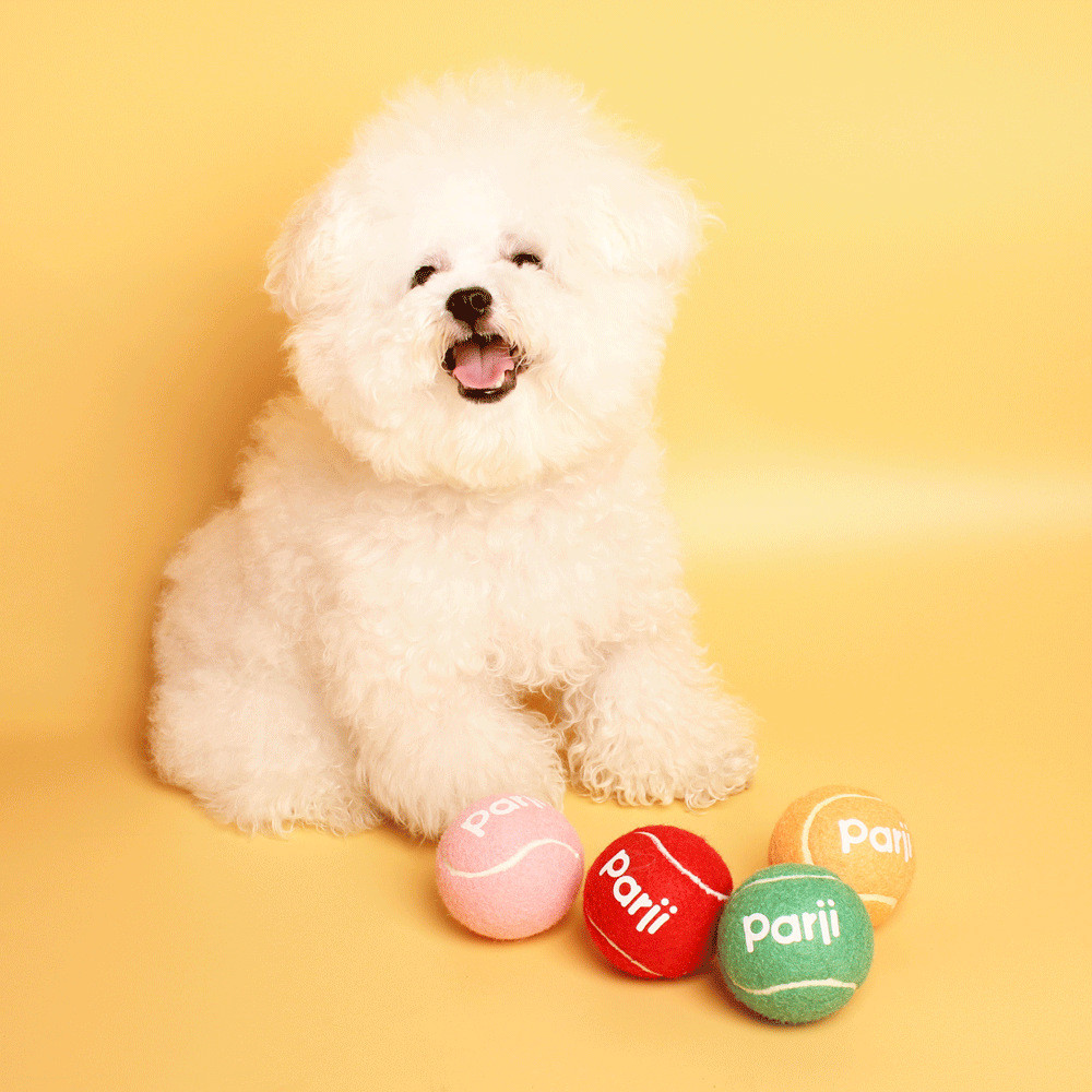 เสียงสุนัขเทนนิสของเล่น Interactive Training Ball ขนาดเล็กขนาดกลางสุนัข Bite-Resistant สินค้ากีฬา