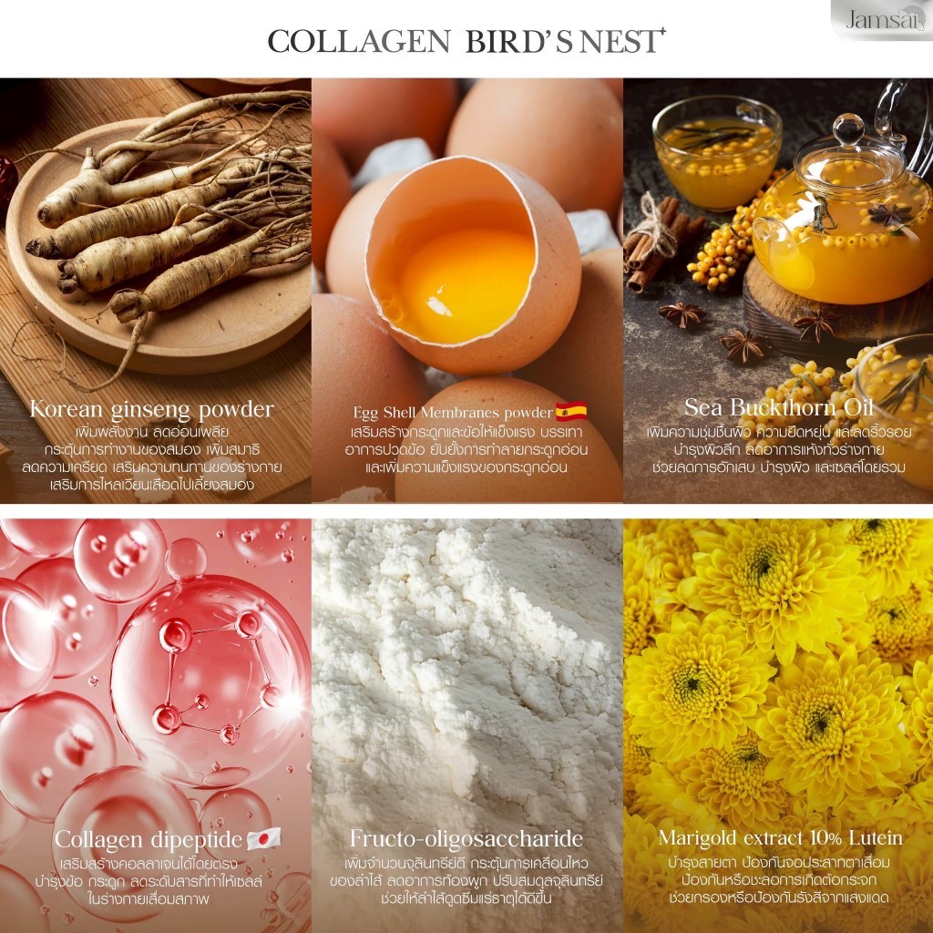 รังนกแจ่มใส [ ส่งจากบริษัท | ลดในไลฟ์ %] COLLAGEN BIRD’S NEST Jamsai คอลลาเจนรังนก แจ่มใส บำรุงกระดูก ข้อเข่า ราคา ถูกที่สุด ดีลบีเคเค แกลเลอรีภาพที่ 4
