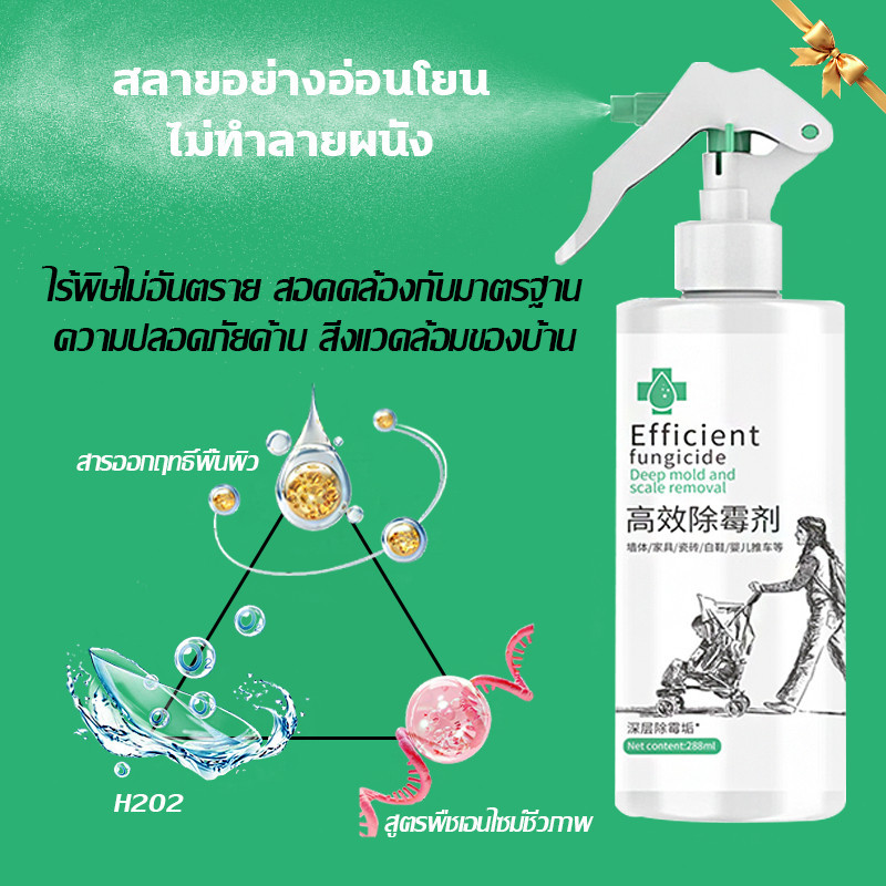 ✨100ปีไม่ขึ้นรา✨ สเปรย์กำจัดเชื้อรา นำเข้าจากญี่ปุ่น 500ml ฆ่าเชื้อรา กำจัดเชื้อรา ไม่เกิดซ้ำ 100% น้ำยากำจัดเชื้อรา - รูปที่ 3