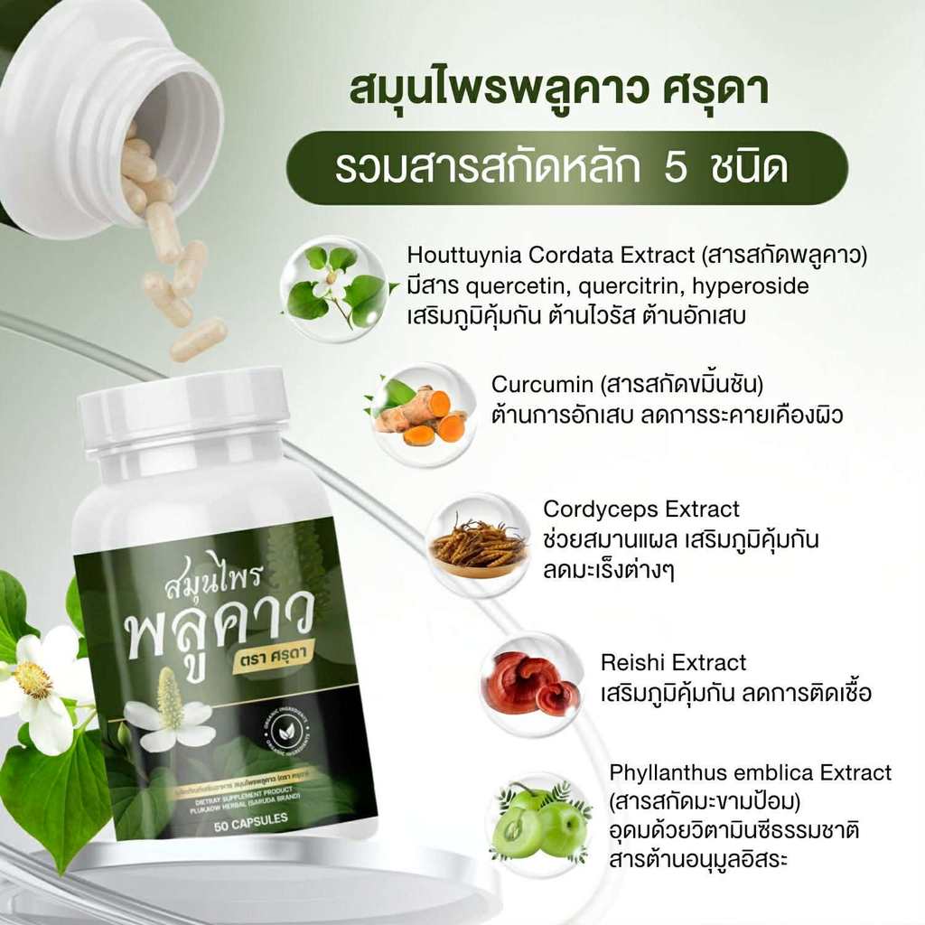 ส่งฟรี 1 แถม 1] Plukaow Plus พลูคาว พลัส โรคผิวหนังจากเชื้อรา แพ้สารเคมี แพ้เหงื่อ เรื้อนกวาง แผลที่เป็นมานานหลายปี