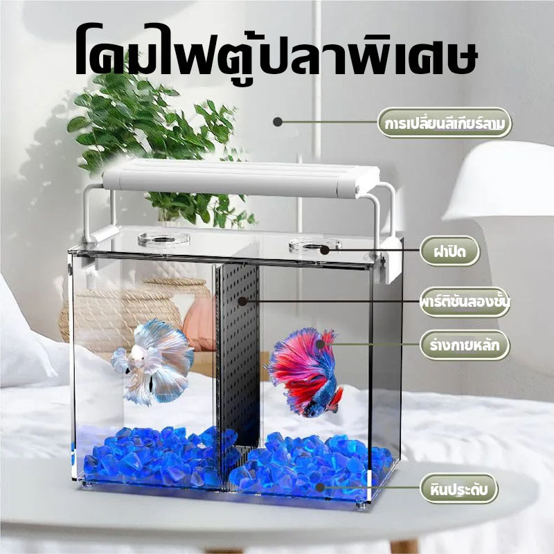 COD ตู้ปลาปลากัด + ไฟตู้ปลา led ตู้ปลาเลโก้ ตู้ปลาเล็ก ขนาดเล็ก ช่องคู่ ตกแต่งอะคริลิค กล่องตัวต่อ - รูปที่ 3