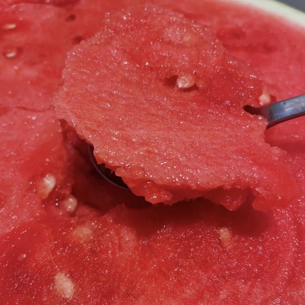 เมล็ดพันธุ์แตงโมยักษ์ เนื้อสีแดง หวานสุดๆ 10เมล็ด  Giant Watermelon Seed Fruit Seeds for Planting ปลูกได้ตลอดปี ง่าย ๆ