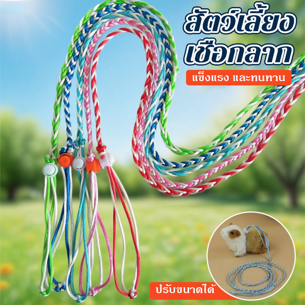 เชือกจูงกระรอก ยาว1.4m สุ่มสี สายรัดอก ที่รัดอก ที่จูง เชือกรัดอก สัตว์เลี้ยง ชูการ์ กระรอก ฯลฯ.