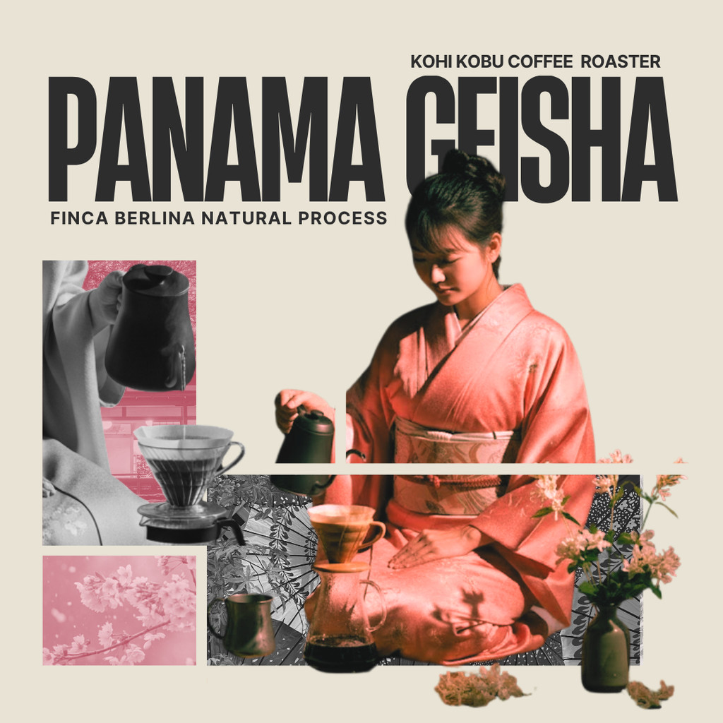 Panama Geisha Boquete Finca Berlina Natural | เมล็ดกาแฟคั่วปานามาเกชา