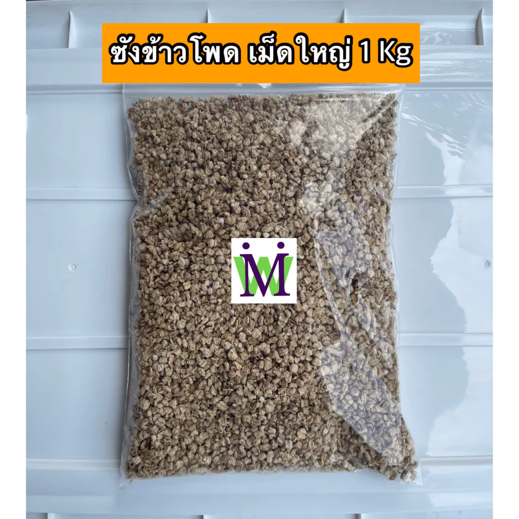 ซังข้าวโพด Giant Cob รองกรง 1 กก. สำหรับสัตว์เล็ก thumbnail 8