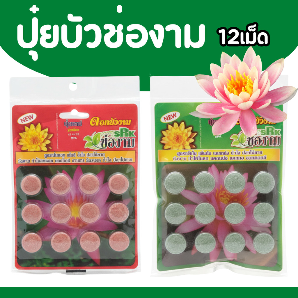 [12เม็ด] ปุ๋ยบัว เร่งดอก สี เเละ เร่งใบ เร่งต้น เร่งราก (12 เม็ด)