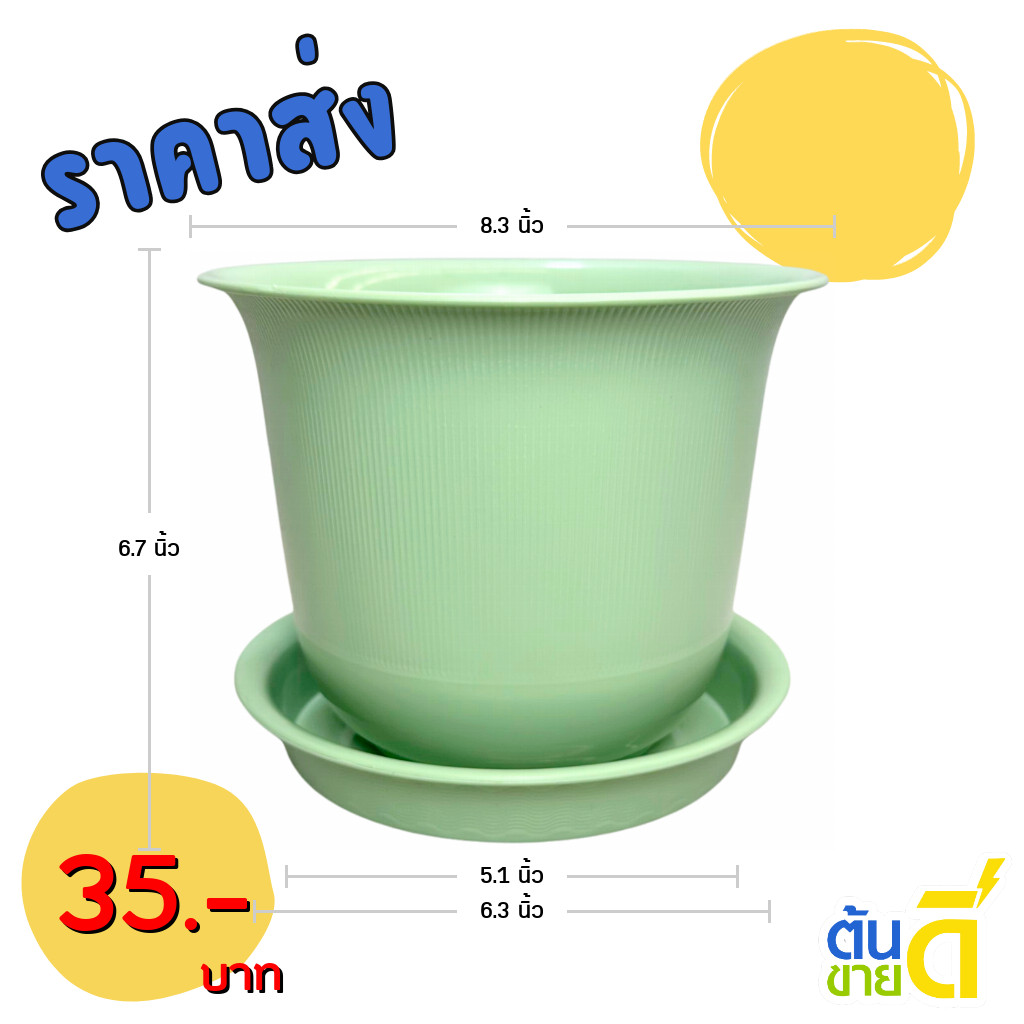 กระถาง กระถางต้นไม้ มินิมอล ถ้วยจีน จานรอง ขนาด 8 นิ้ว สีเขียวพาสเทล ขั้นต่ำ 2 ใบ ชิ้น อัน
