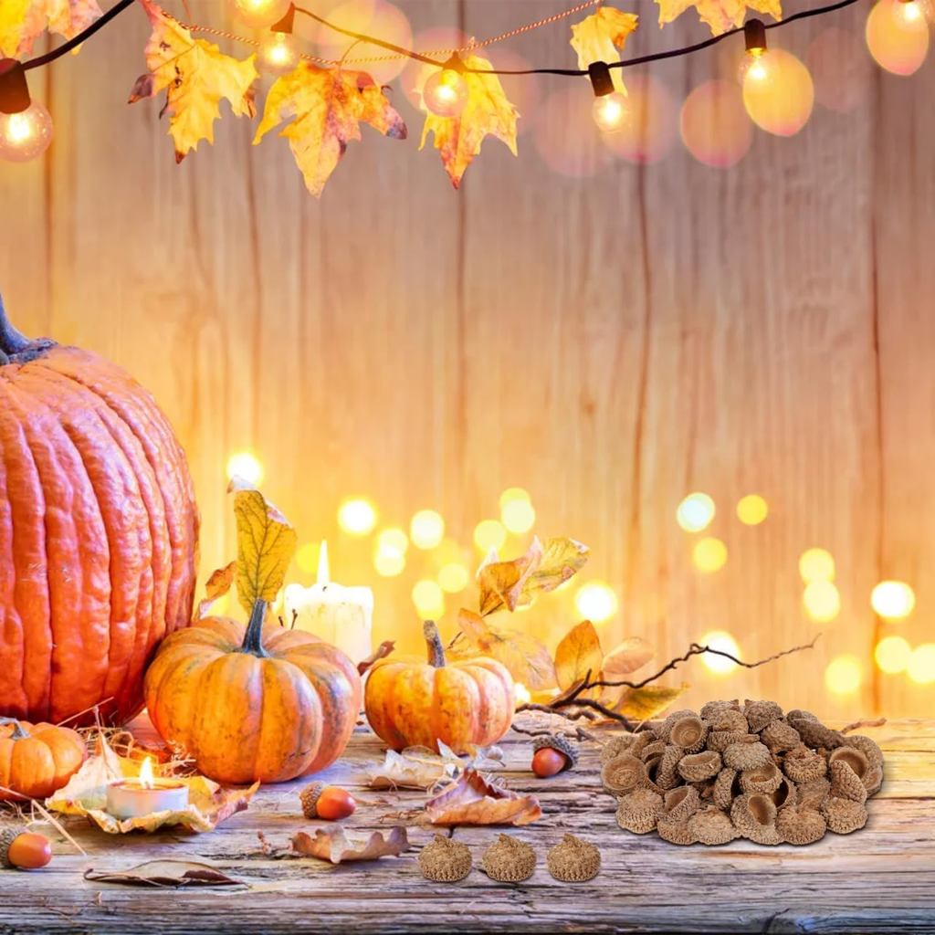 Ciieeo Natural Acorns Top Bulk Real Rustic Acorns Caps for Craft Christmas Thanksgiving Pine Cone Or