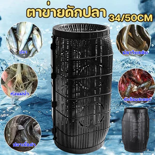 ตาข่ายดักปลา มุ้งดักปลา ที่ดักกุ้ง กระชังดักปลา ลอบดักปลา พับเก็บได้ ส่งเหยื่อ