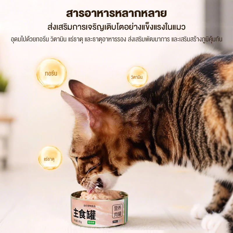 อาหารเปียกแมว สูตรปลาแซลมอน 85 กรัม thumbnail 5