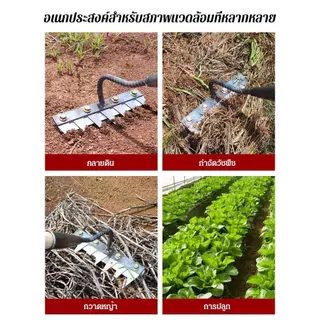 ThaiJoy🌱🌱อุปกรณ์ทำสวนที่สมบูรณ์ในปี เครื่องดึงสนามหญ้า คราด เครื่องพรวนดิน คราดฟันฉลาม คราดเหล็กกำจัดวั ถอน คาดหญ้าเหล็ก ฟันถากหญ้าในการเกษตรมือสำหรับการทำสวน เครื่องมือกำจัดวัชพืชในเกษตรมือสำหรับการทำสวน คลายดิน
