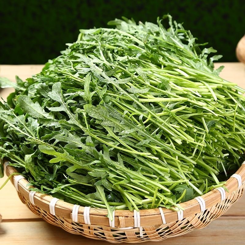 Arugula Seeds เมล็ด ARUGULA Organic  ร็อกเก็ต ออร์แกนิค งอกสูง 400 เมล็ด/แพ็ค งอกสูง