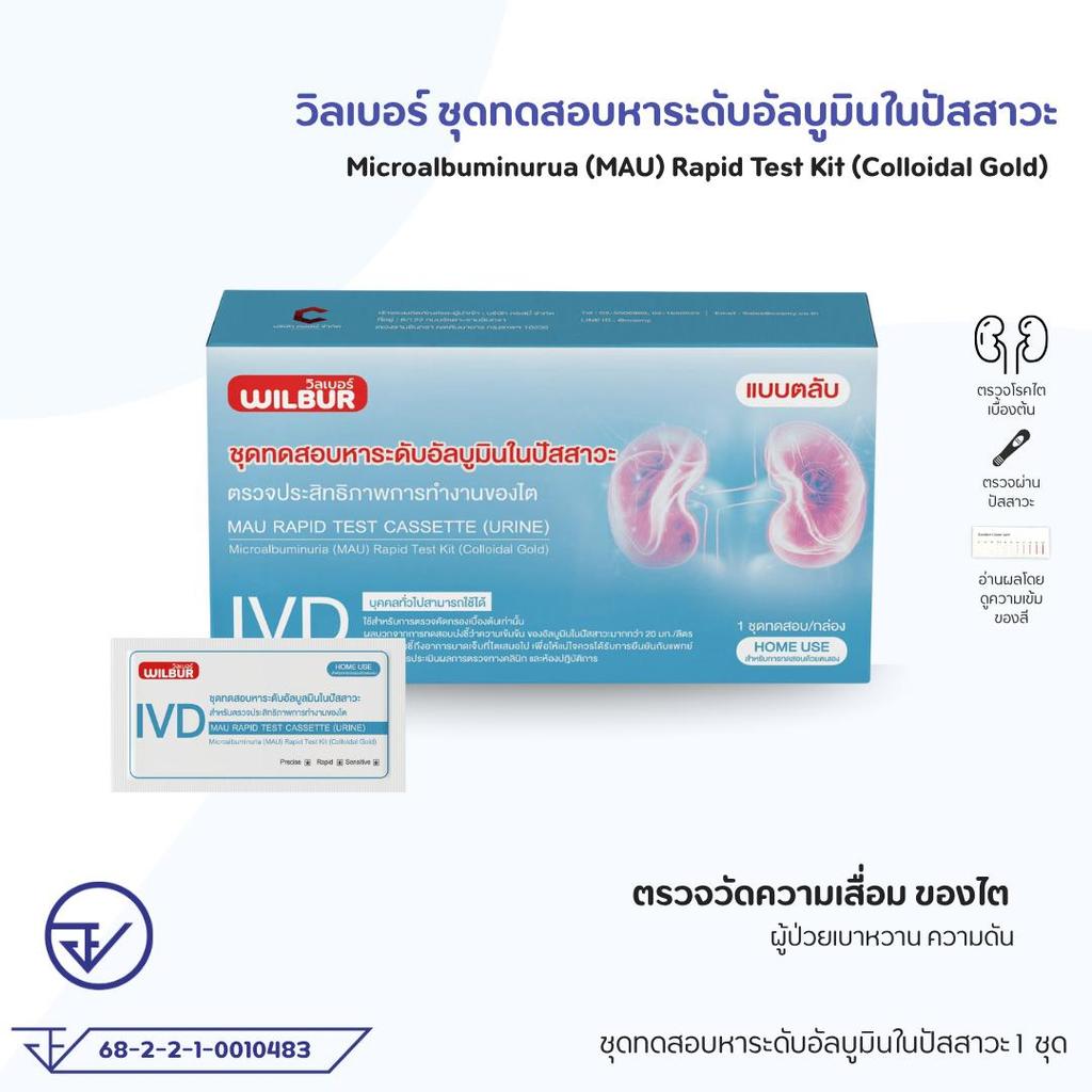 ชุดตรวจไต WILBUR MAU ตรวจอัลบูมินในปัสสาวะ รู้ผลเร็ว 5-15 นาที ชุดตรวจไตเบื้องต้น มีเลขที่ จดเเจ้ง มั่นใจคุณภาพ
