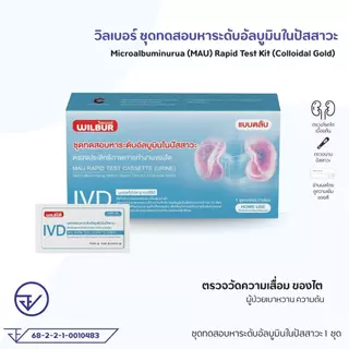 ชุดตรวจไต WILBUR MAU ตรวจอัลบูมินในปัสสาวะ รู้ผลเร็ว 5-15 นาที ชุดตรวจไตเบื้องต้น มีเลขที่ จดเเจ้ง มั่นใจคุณภาพ